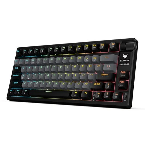 EvoFox Ronin wireless TKL hot-swappable mechanical keyboard.